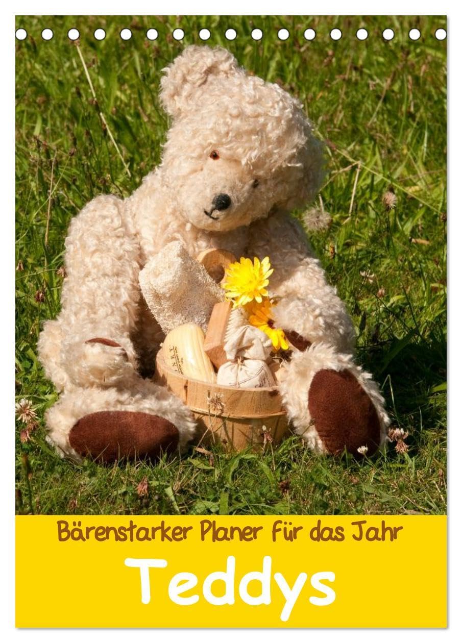 Bärenstarker Planer für das Jahr – Teddys (Tischkalender 2026 DIN A5 hoch), CALVENDO Monatskalender: Liebenswerte Teddybären, die das Herz erfreuen (CALVENDO Hobbys) Photography
