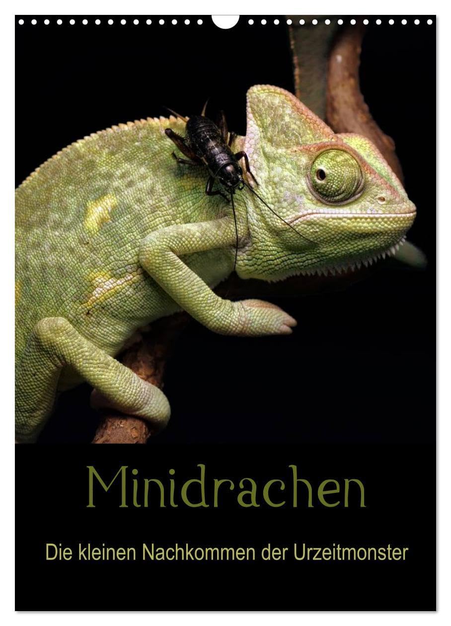 Minidrachen - Die kleinen Nachkommen der Urzeitmonster (Wandkalender 2026 DIN A3 hoch), CALVENDO Monatskalender: Die kleinen Verwandten der ... Farbenvielfalt (CALVENDO Tiere) Living & Furnishing