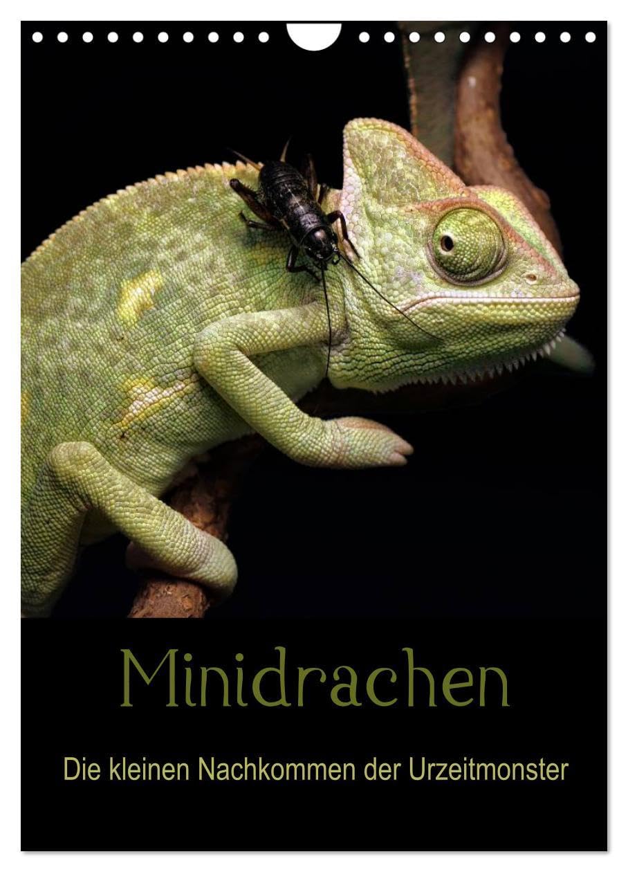 Minidrachen - Die kleinen Nachkommen der Urzeitmonster (Wandkalender 2026 DIN A4 hoch), CALVENDO Monatskalender: Die kleinen Verwandten der ... Farbenvielfalt (CALVENDO Tiere) Living & Furnishing