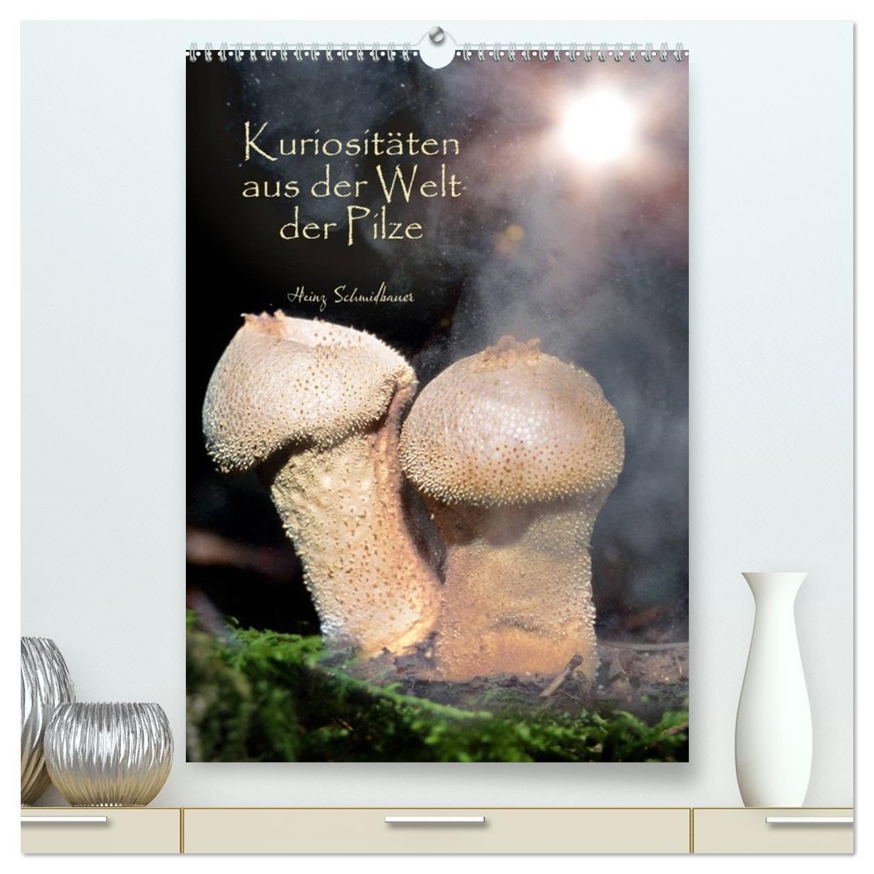 Kuriositäten aus der Welt der Pilze (hochwertiger Premium Wandkalender 2026 DIN A2 hoch), Kunstdruck in Hochglanz: Kuriose Pilze, bunt und seltsam, ... und dennoch faszinierend. (CALVENDO Natur) Photography