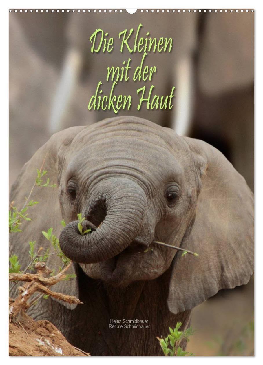 Die Kleinen mit der dicken Haut (Wandkalender 2026 DIN A2 hoch), CALVENDO Monatskalender: Die Babies von Elefant, Flusspferd und Nashorn sind trotz ... liebenswerte Zeitgenossen. (CALVENDO Tiere) Film, Art & Culture