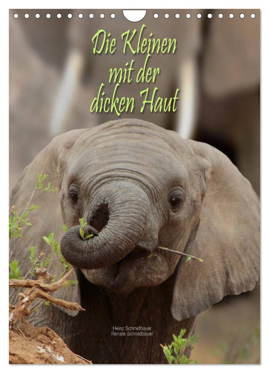 Die Kleinen mit der dicken Haut (Wandkalender 2026 DIN A4 hoch), CALVENDO Monatskalender: Die Babies von Elefant, Flusspferd und Nashorn sind trotz ... liebenswerte Zeitgenossen. (CALVENDO Tiere) Film, Art & Culture