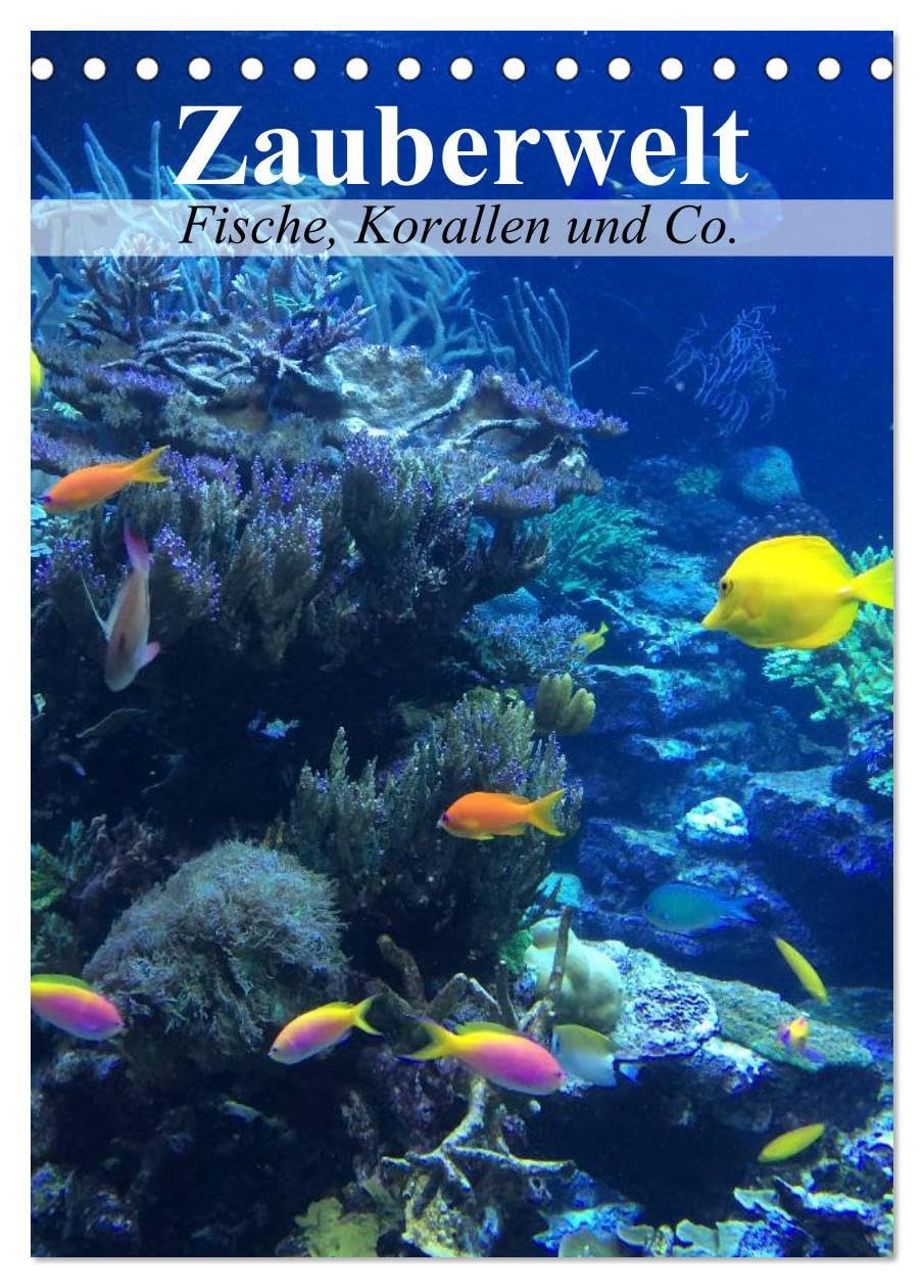 Zauberwelt. Fische, Korallen und Co. (Tischkalender 2026 DIN A5 hoch), CALVENDO Monatskalender: Ein Unterwasser-Planer für bunte Monate (CALVENDO Tiere) Film, Art & Culture