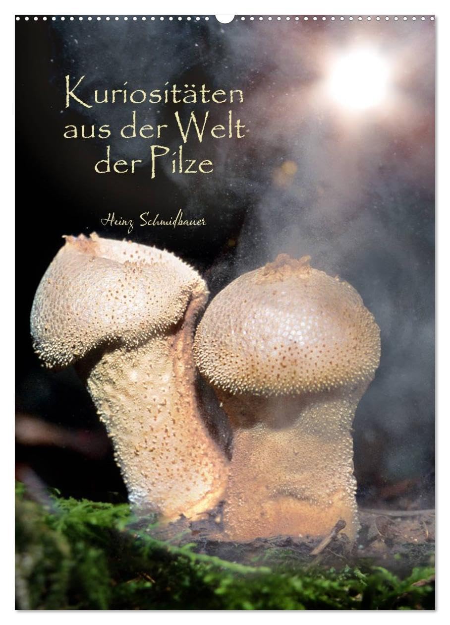 Kuriositäten aus der Welt der Pilze (Wandkalender 2026 DIN A2 hoch), CALVENDO Monatskalender: Kuriose Pilze, bunt und seltsam, meist unbekannt und ... und dennoch faszinierend. (CALVENDO Natur) Photography