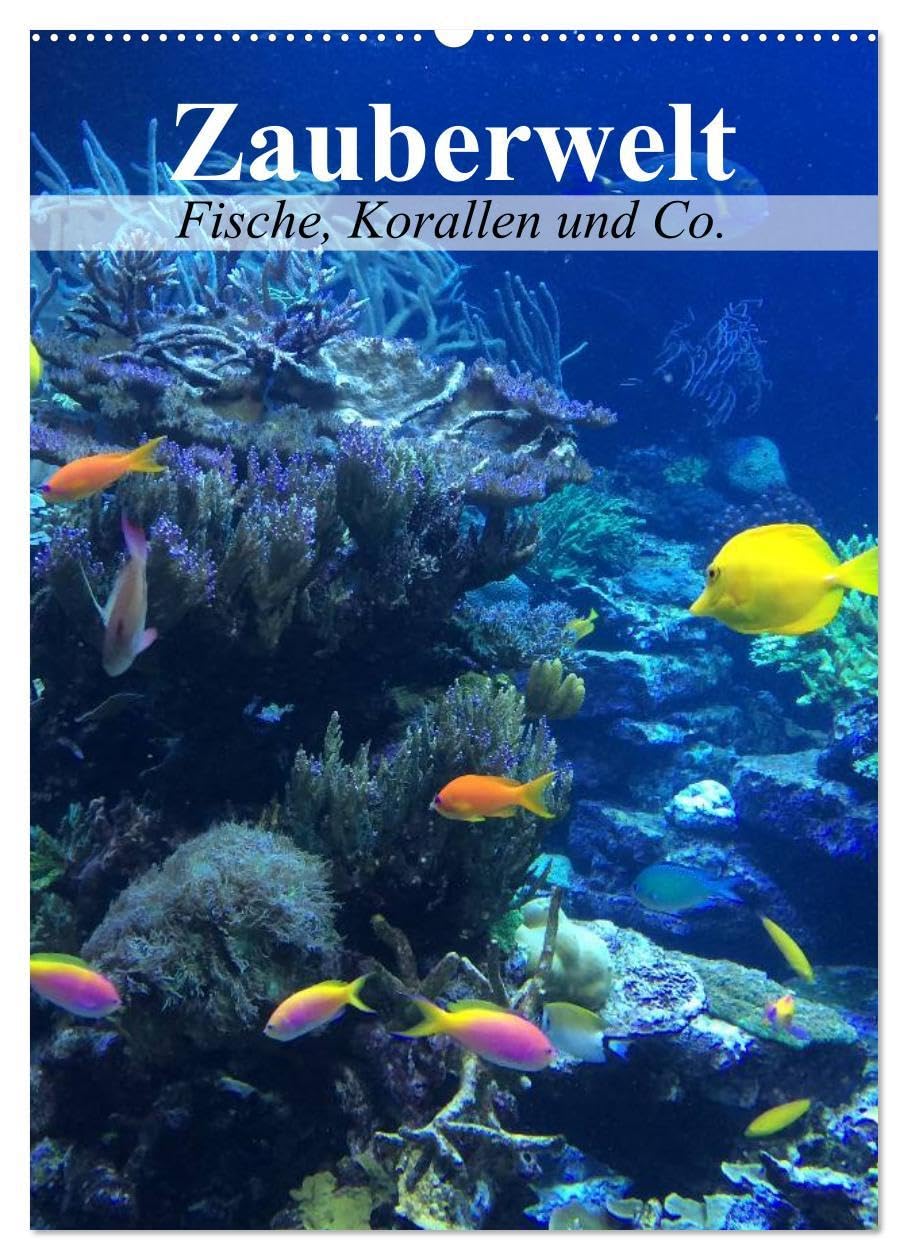 Zauberwelt. Fische, Korallen und Co. (Wandkalender 2026 DIN A2 hoch), CALVENDO Monatskalender: Ein Unterwasser-Planer für bunte Monate (CALVENDO Tiere) Film, Art & Culture