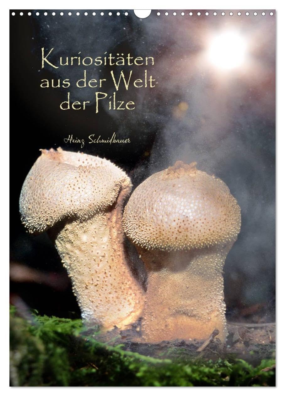 Kuriositäten aus der Welt der Pilze (Wandkalender 2026 DIN A3 hoch), CALVENDO Monatskalender: Kuriose Pilze, bunt und seltsam, meist unbekannt und ... und dennoch faszinierend. (CALVENDO Natur) Photography