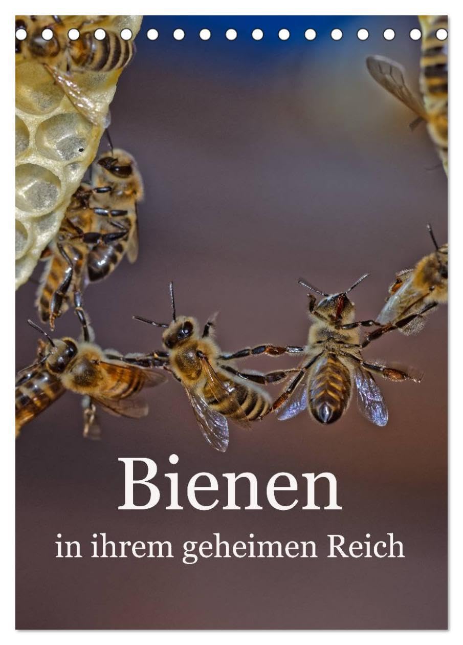 Bienen in ihrem geheimen Reich (Tischkalender 2026 DIN A5 hoch), CALVENDO Monatskalender: Die Geheimnisse des Bienenstocks (CALVENDO Tiere) Natural Sciences