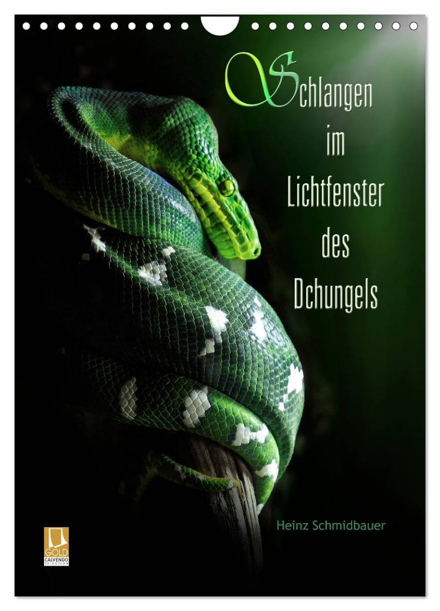 Schlangen im Lichtfenster des Dschungels (Wandkalender 2026 DIN A4 hoch), CALVENDO Monatskalender: Schlangen - nur wenige mögen sie, doch faszinierend ... von Heinz Schmidbauer. (CALVENDO Tiere) Natural Sciences