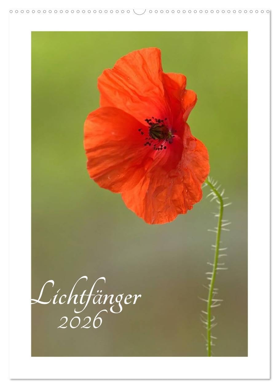 Lichtfänger (Wandkalender 2026 DIN A2 hoch), CALVENDO Monatskalender: Wunderschöne Lichtmomente - Die Welt der Blumen und Pflanzen in sehr zarten lichtdurchfluteten Detailaufnahmen (CALVENDO Natur) Social Sciences
