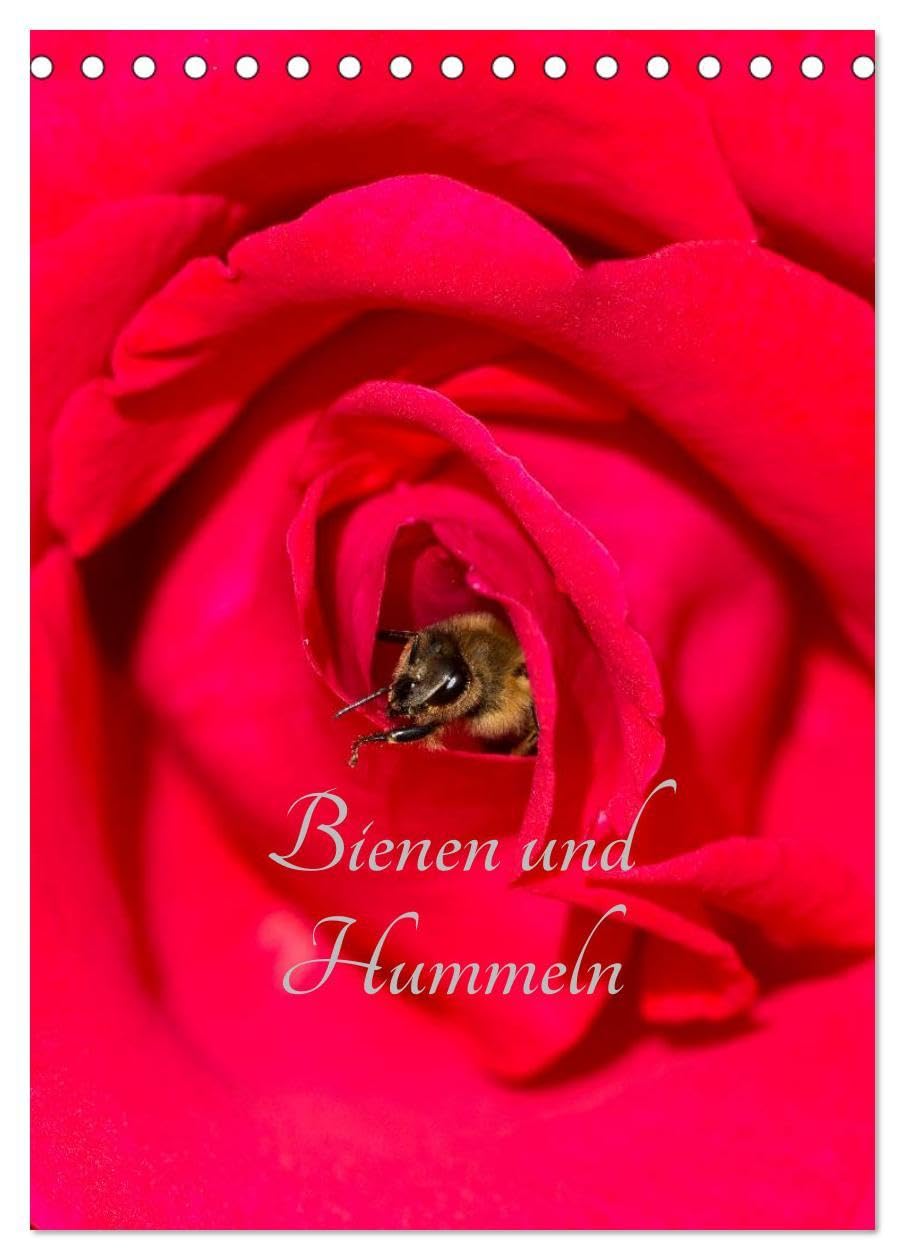 Bienen und Hummeln (Tischkalender 2026 DIN A5 hoch), CALVENDO Monatskalender: Bienen und Hummeln für das ganze Jahr (CALVENDO Tiere) Natural Sciences
