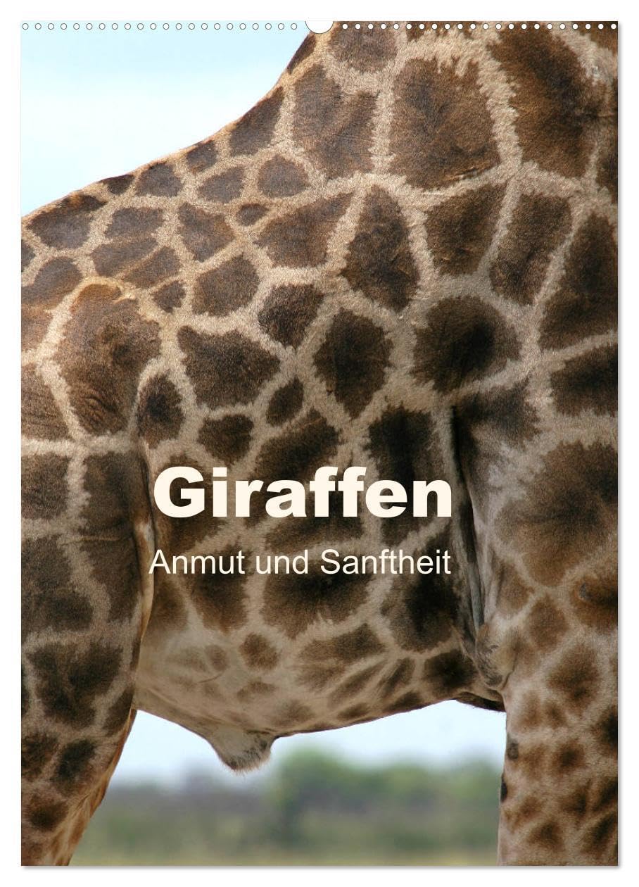 Giraffen - Anmut und Sanftheit (Wandkalender 2026 DIN A2 hoch), CALVENDO Monatskalender: Begegnungen mit Giraffen in Afrika (CALVENDO Tiere) Natural Sciences