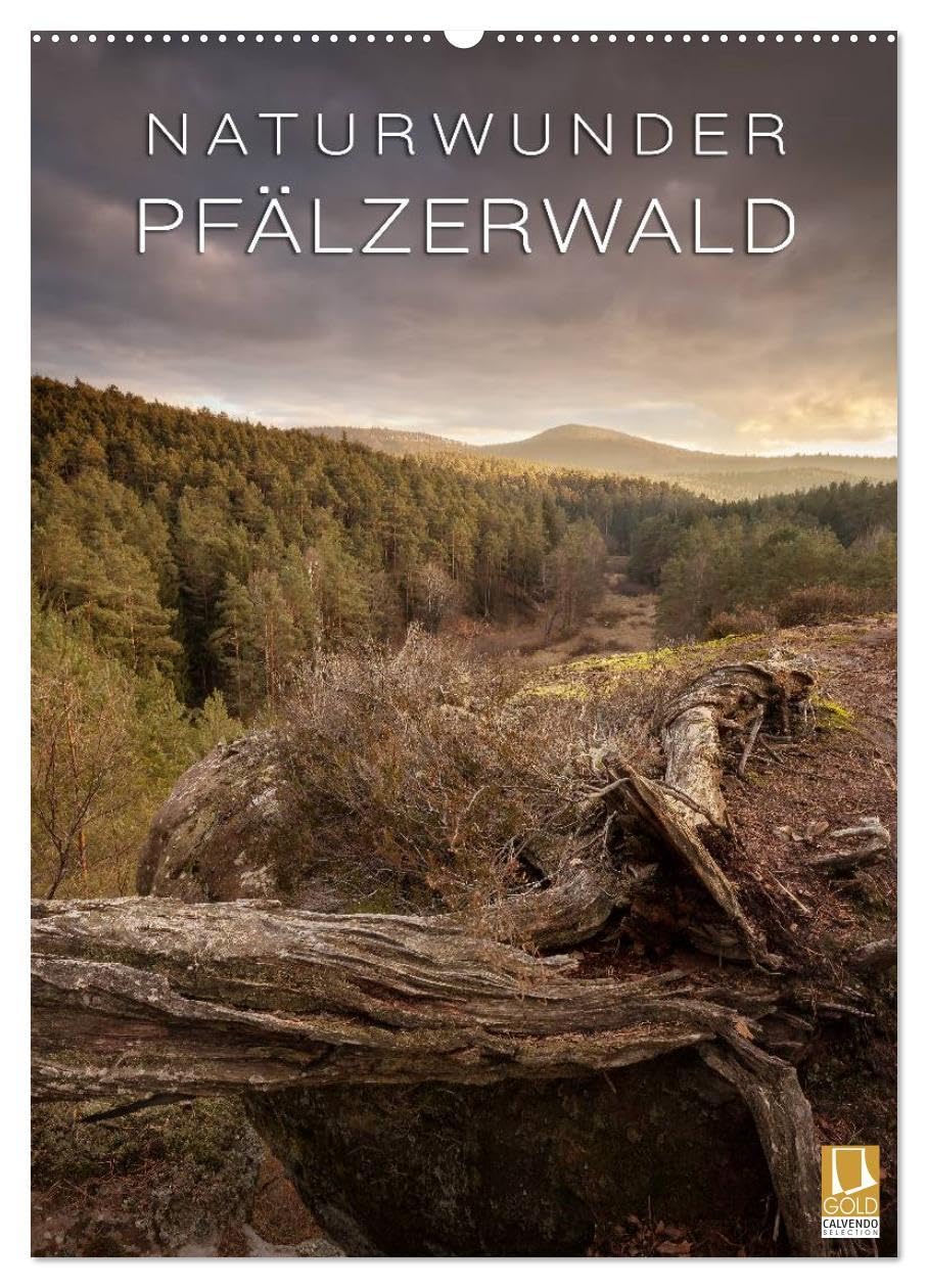 NATURWUNDER PFÄLZERWALD (Wandkalender 2026 DIN A2 hoch), CALVENDO Monatskalender: Der Naturpark Pfälzerwald von seiner schönsten Seite (CALVENDO Natur) Leisure, Home & Garden