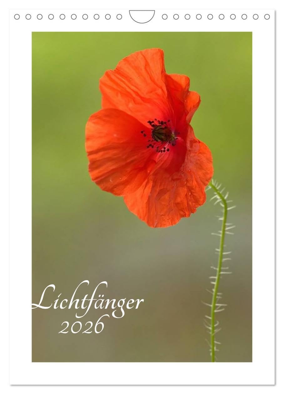 Lichtfänger (Wandkalender 2026 DIN A4 hoch), CALVENDO Monatskalender: Wunderschöne Lichtmomente - Die Welt der Blumen und Pflanzen in sehr zarten lichtdurchfluteten Detailaufnahmen (CALVENDO Natur) Social Sciences