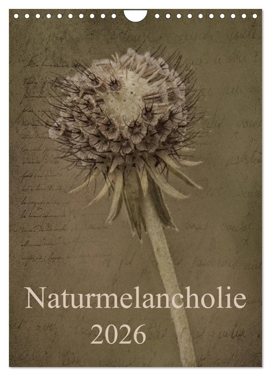 Naturmelancholie 2026 (Wandkalender 2026 DIN A4 hoch), CALVENDO Monatskalender: Blüten,Knospen und Gräser, stilvoll und unvergleichlich werden sie ... eigenes kleines Kunstwerk. (CALVENDO Natur) Leisure, Home & Garden