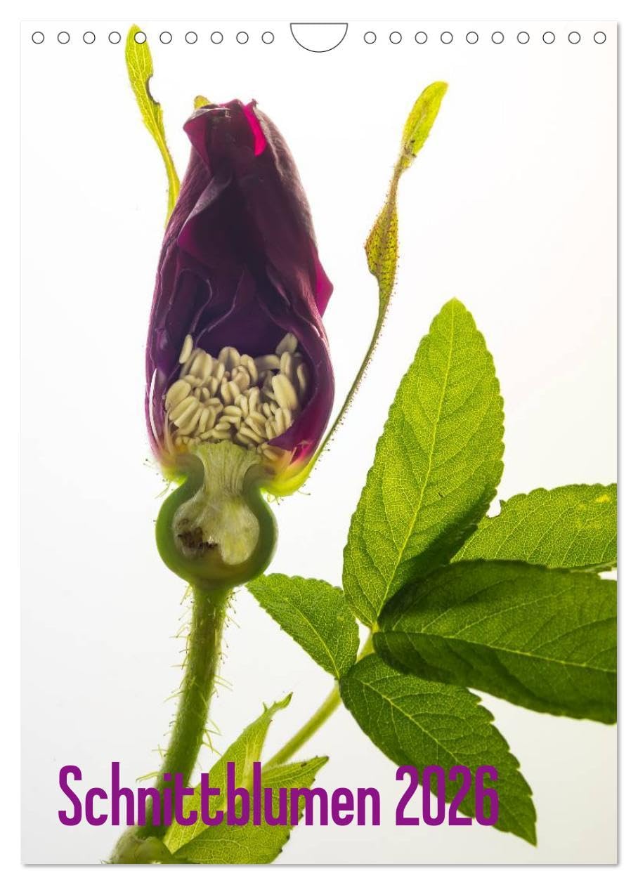 Schnittblumen 2026 (Wandkalender 2026 DIN A4 hoch), CALVENDO Monatskalender: Durch das Innere der Blüten geschnitten - Blüten mal ganz anders (CALVENDO Natur) Photography
