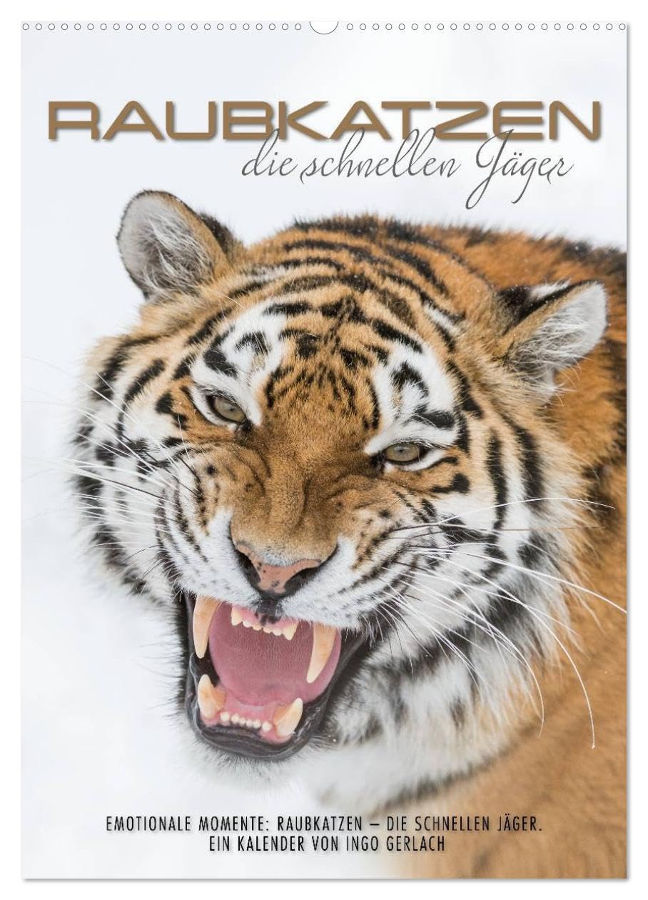 Emotionale Momente: Raubkatzen - die schnellen Jäger. (Wandkalender 2026 DIN A2 hoch), CALVENDO Monatskalender: Raubkatzen sind die schnellen Jäger in ... zur Verfügung gestellt- (CALVENDO Tiere) Natural Sciences