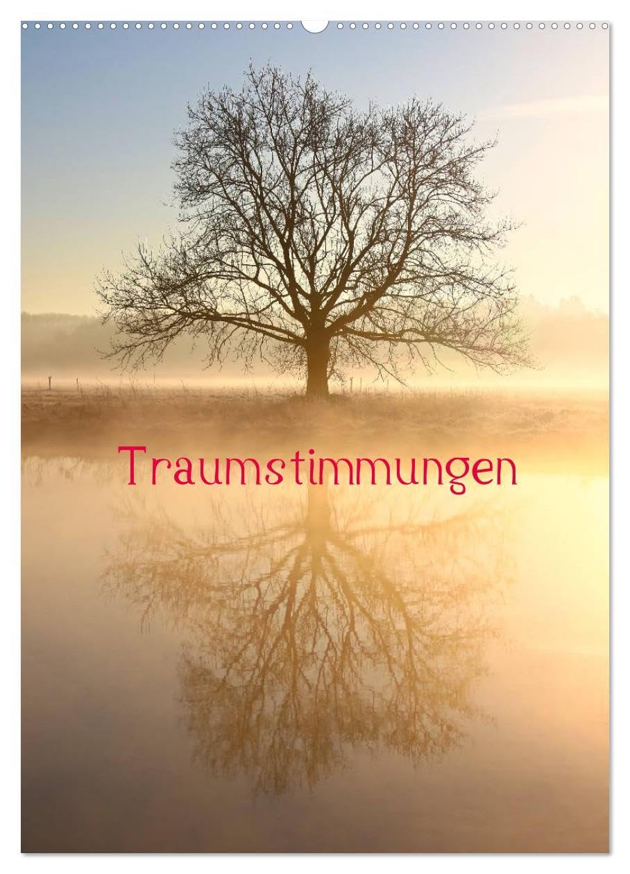 Traumstimmungen (Wandkalender 2026 DIN A2 hoch), CALVENDO Monatskalender: Nebelstimmungen an der Ruhr (CALVENDO Natur) Photography