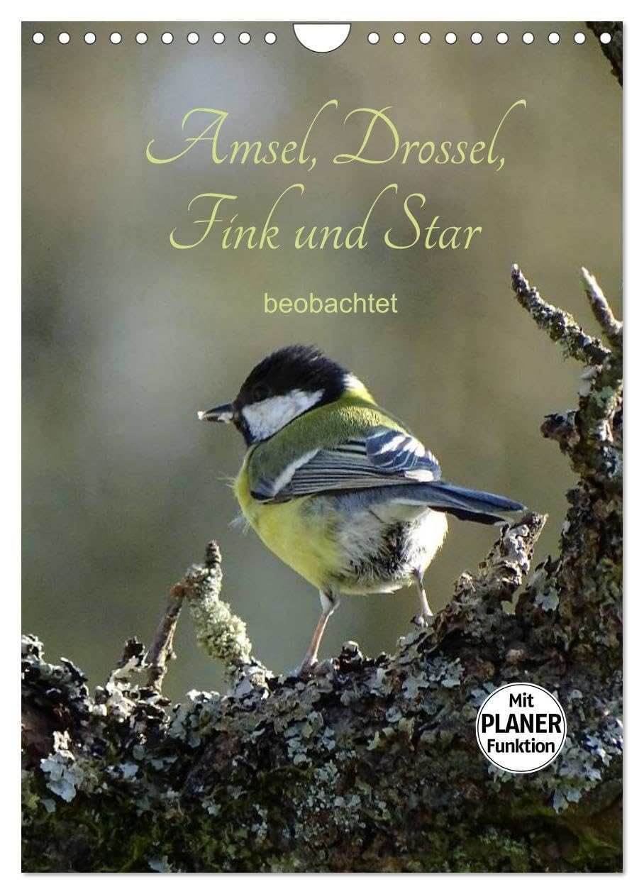 Amsel, Drossel, Fink und Star - beobachtet (Wandkalender 2026 DIN A4 hoch), CALVENDO Monatskalender: Hier ein kleiner Auszug aus unseren heimischen Wild- bzw. Gartenvögeln. (CALVENDO Tiere) Film, Art & Culture