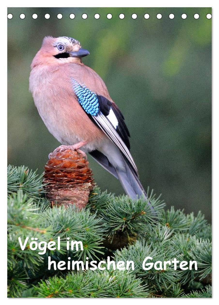 Vögel im heimischen Garten (Tischkalender 2026 DIN A5 hoch), CALVENDO Monatskalender: Wunderschöne Aufnahmen, die die Pracht, Vielfalt und ... für jeden Vogelliebhaber. (CALVENDO Tiere) Leisure, Home & Garden