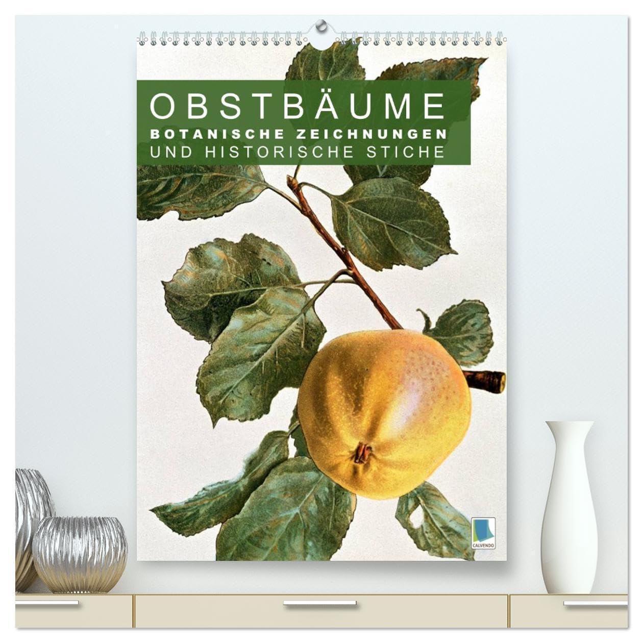 Obstbäume: Botanische Zeichnungen und historische Stiche (hochwertiger Premium Wandkalender 2026 DIN A2 hoch), Kunstdruck in Hochglanz: Obst und ... und Kupferstiche (CALVENDO Kunst) Film, Art & Culture
