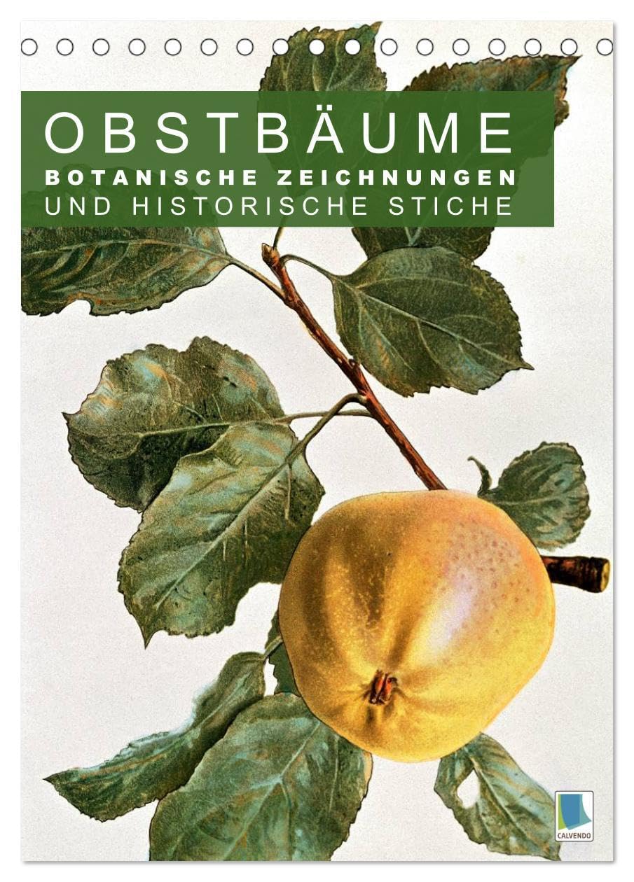 Obstbäume: Botanische Zeichnungen und historische Stiche (Tischkalender 2026 DIN A5 hoch), CALVENDO Monatskalender: Obst und Früchte: historische ... und Kupferstiche (CALVENDO Kunst) Film, Art & Culture