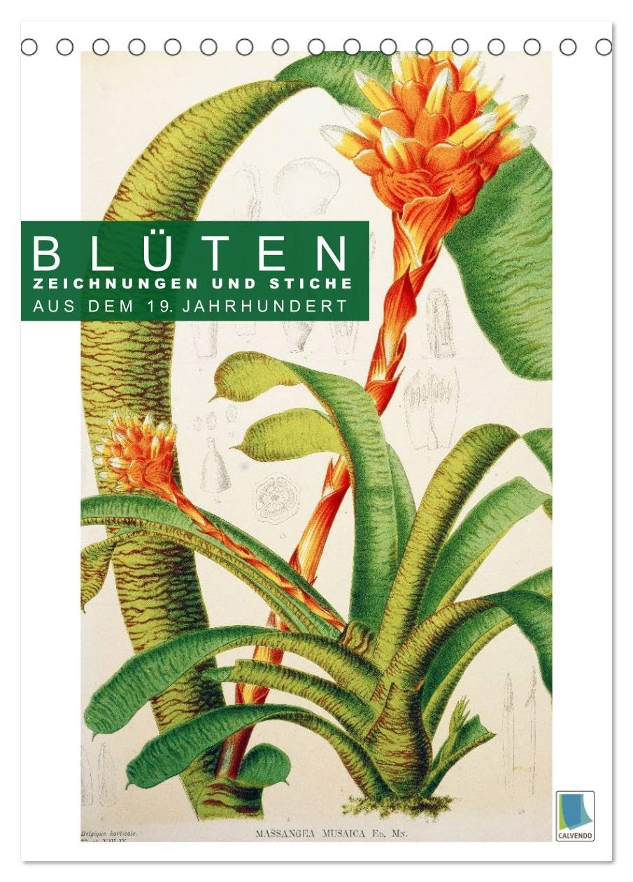 Blüten: Zeichnungen und Stiche aus dem 19. Jahrhundert (Tischkalender 2026 DIN A5 hoch), CALVENDO Monatskalender: Farblithografien und Kupferstiche zarter Pflanzenstudien (CALVENDO Kunst) Calendars