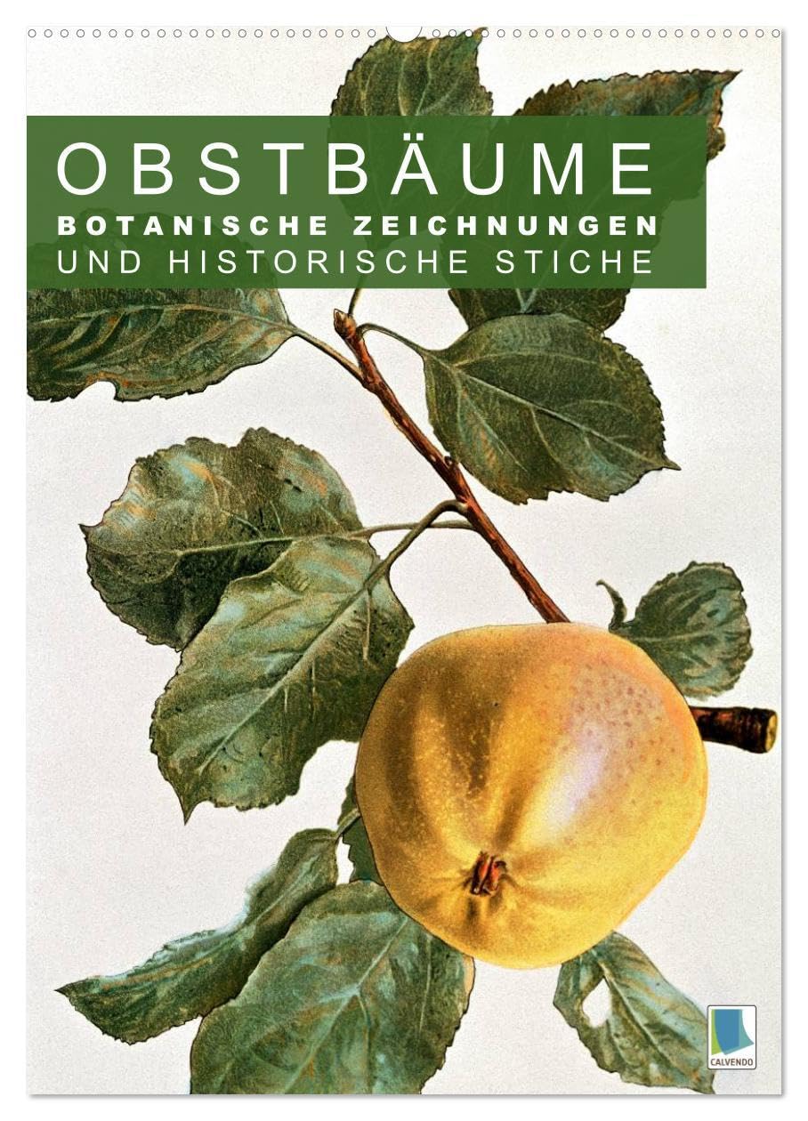 Obstbäume: Botanische Zeichnungen und historische Stiche (Wandkalender 2026 DIN A2 hoch), CALVENDO Monatskalender: Obst und Früchte: historische ... und Kupferstiche (CALVENDO Kunst) Film, Art & Culture