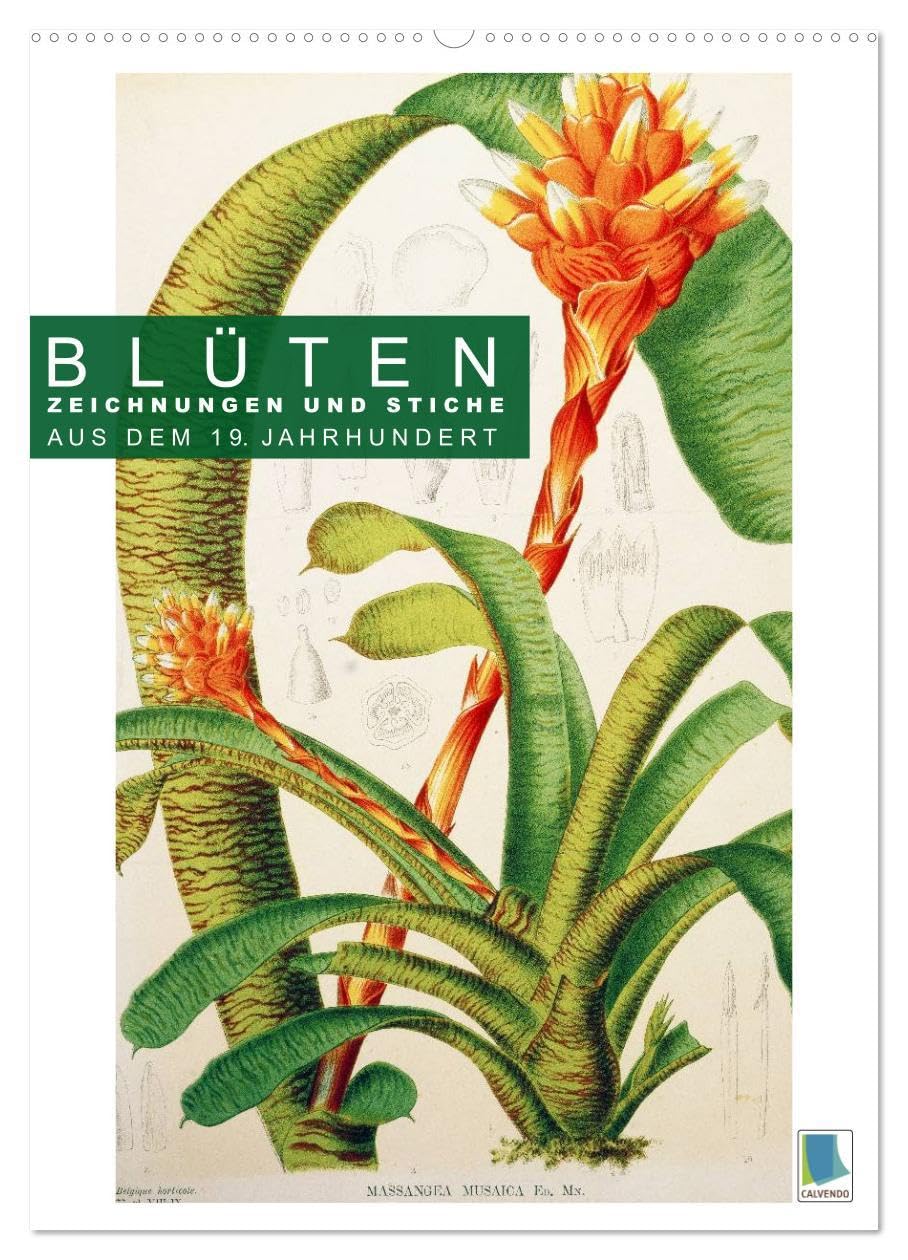 Blüten: Zeichnungen und Stiche aus dem 19. Jahrhundert (Wandkalender 2026 DIN A2 hoch), CALVENDO Monatskalender: Farblithografien und Kupferstiche zarter Pflanzenstudien (CALVENDO Kunst) Calendars
