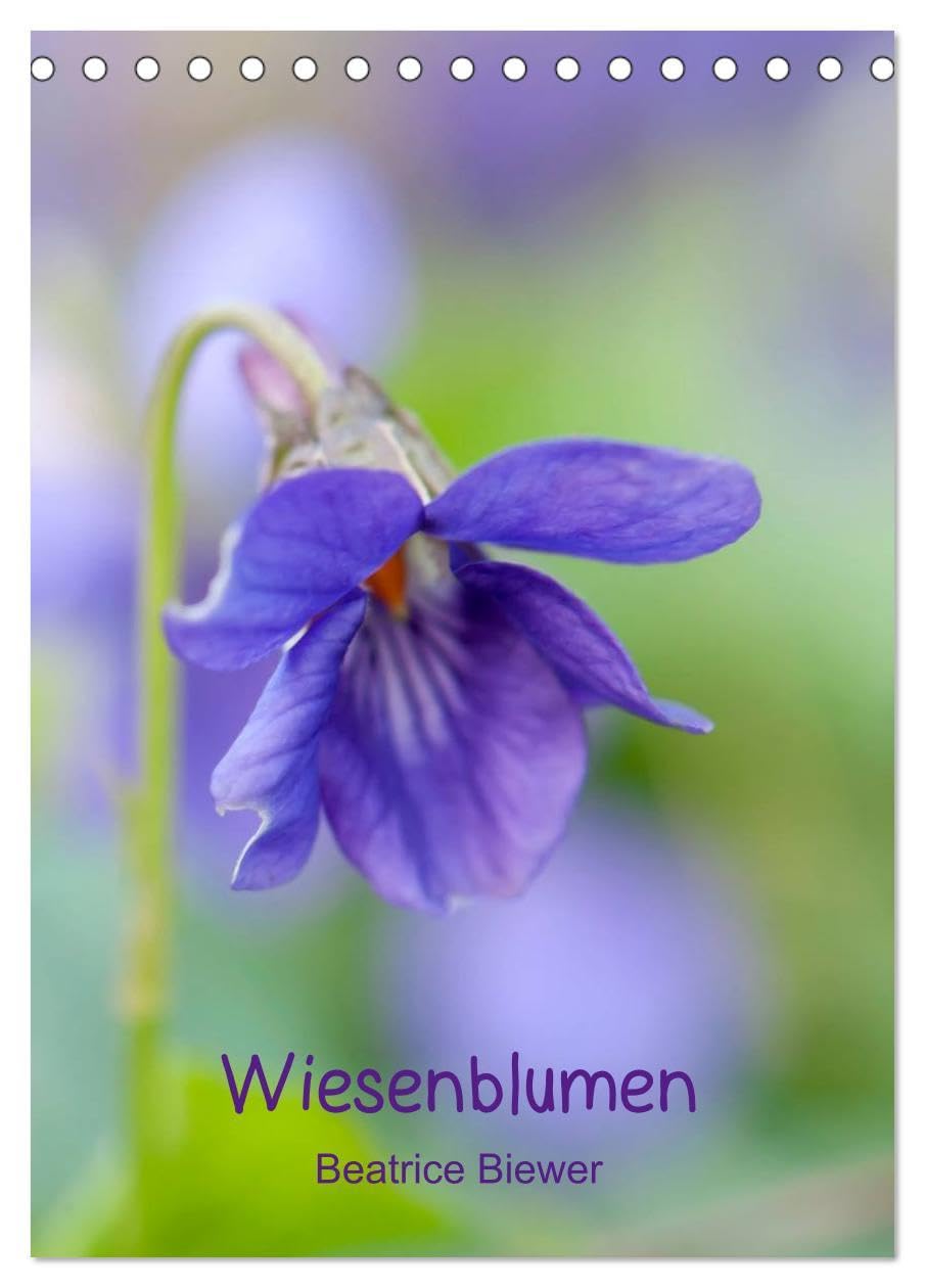 Wiesenblumen (Tischkalender 2026 DIN A5 hoch), CALVENDO Monatskalender: Die kleinen wilden Blumen von den Wiesen und Feldern (CALVENDO Natur) Leisure, Home & Garden
