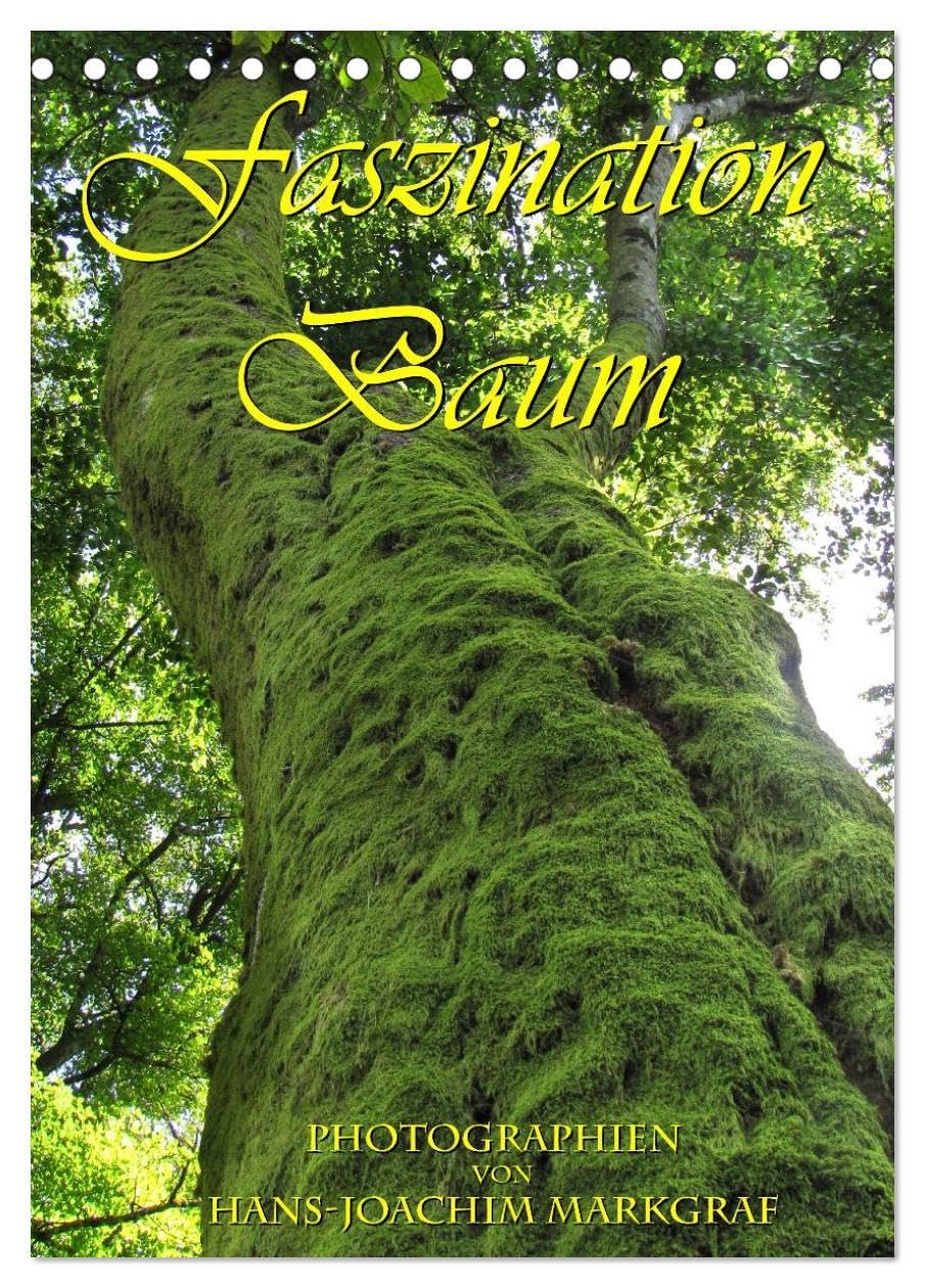 Faszination Baum (Tischkalender 2026 DIN A5 hoch), CALVENDO Monatskalender: Ausducksstarke Fotos von Baumstämmen (CALVENDO Natur) Photography