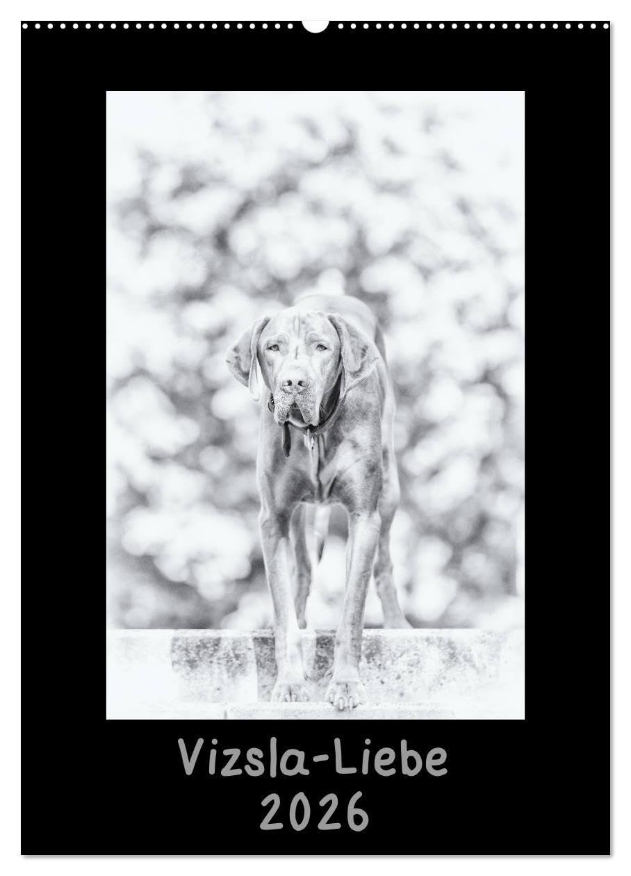 Vizsla-Liebe (Wandkalender 2026 DIN A2 hoch), CALVENDO Monatskalender: Einmal Vizsla - immer Vizsla (CALVENDO Tiere) Natural Sciences