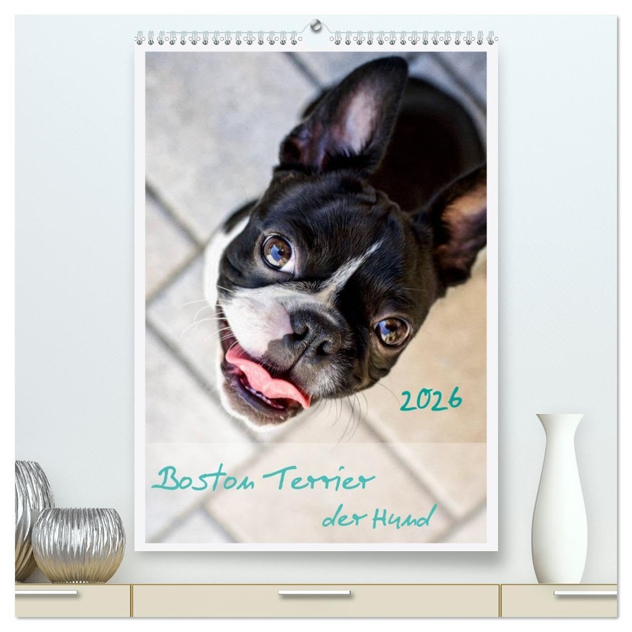 Boston Terrier der Hund 2026 (hochwertiger Premium Wandkalender 2026 DIN A2 hoch), Kunstdruck in Hochglanz: Ein schöner Kalender für Hundefreude und Liebhaber von Boston Terrier (CALVENDO Tiere) Natural Sciences