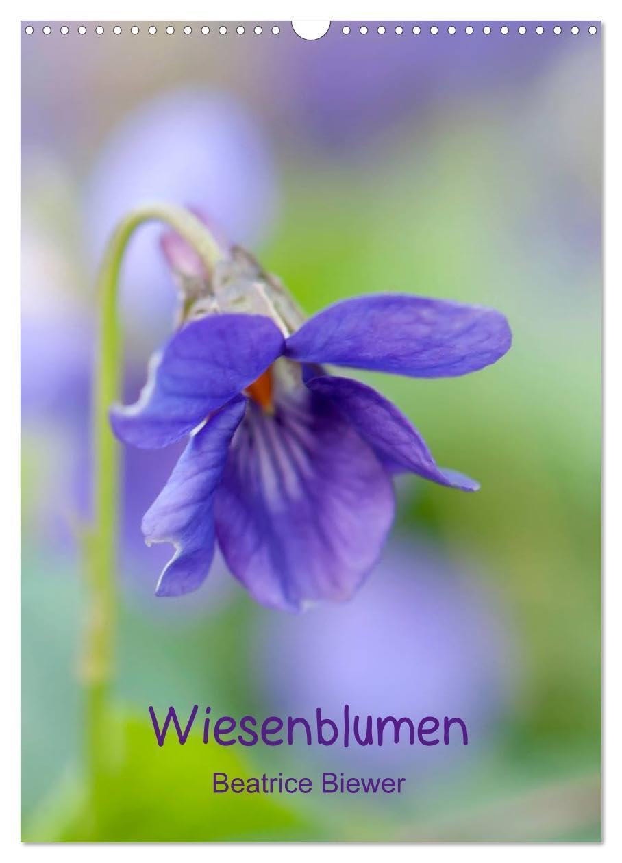 Wiesenblumen (Wandkalender 2026 DIN A3 hoch), CALVENDO Monatskalender: Die kleinen wilden Blumen von den Wiesen und Feldern (CALVENDO Natur) Leisure, Home & Garden
