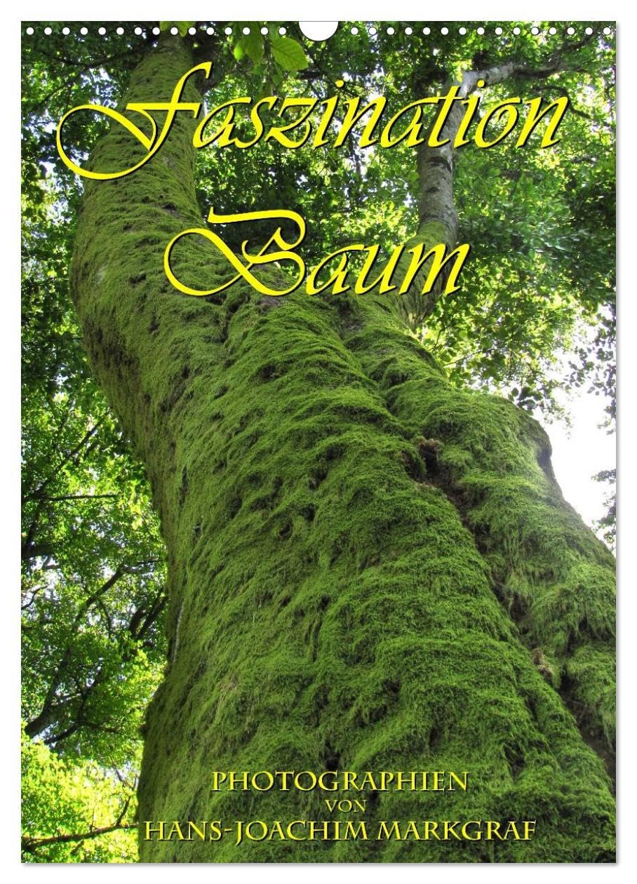 Faszination Baum (Wandkalender 2026 DIN A3 hoch), CALVENDO Monatskalender: Ausducksstarke Fotos von Baumstämmen (CALVENDO Natur) Photography