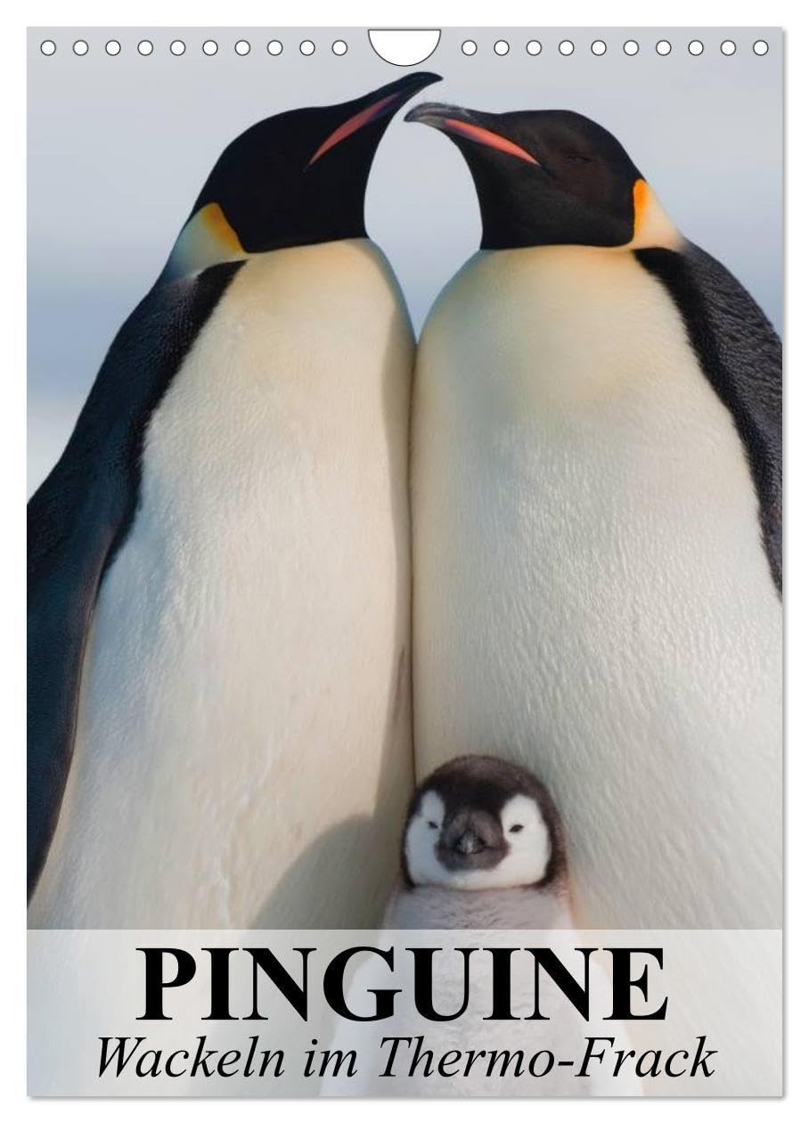 Pinguine - Wackeln im Thermo-Frack (Wandkalender 2026 DIN A4 hoch), CALVENDO Monatskalender: Kaiser- und Königspinguine in ihrem natürlichen Lebensraum (CALVENDO Tiere) Film, Art & Culture