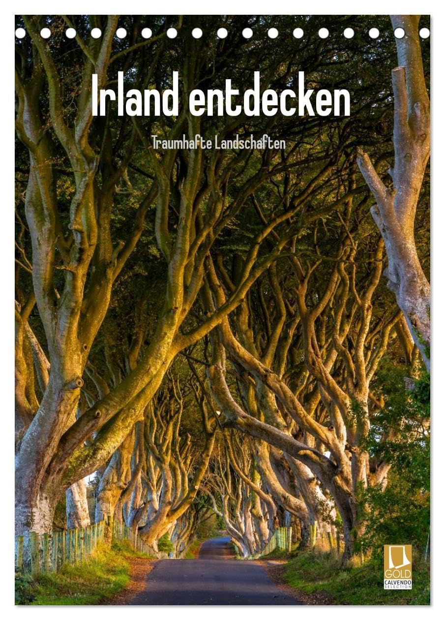 Irland entdecken (Tischkalender 2026 DIN A5 hoch), CALVENDO Monatskalender: Irische Landschaften (CALVENDO Natur) Leisure, Home & Garden