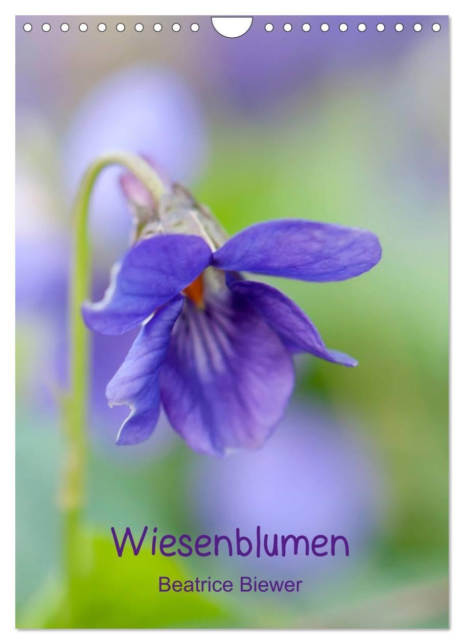 Wiesenblumen (Wandkalender 2026 DIN A4 hoch), CALVENDO Monatskalender: Die kleinen wilden Blumen von den Wiesen und Feldern (CALVENDO Natur) Leisure, Home & Garden