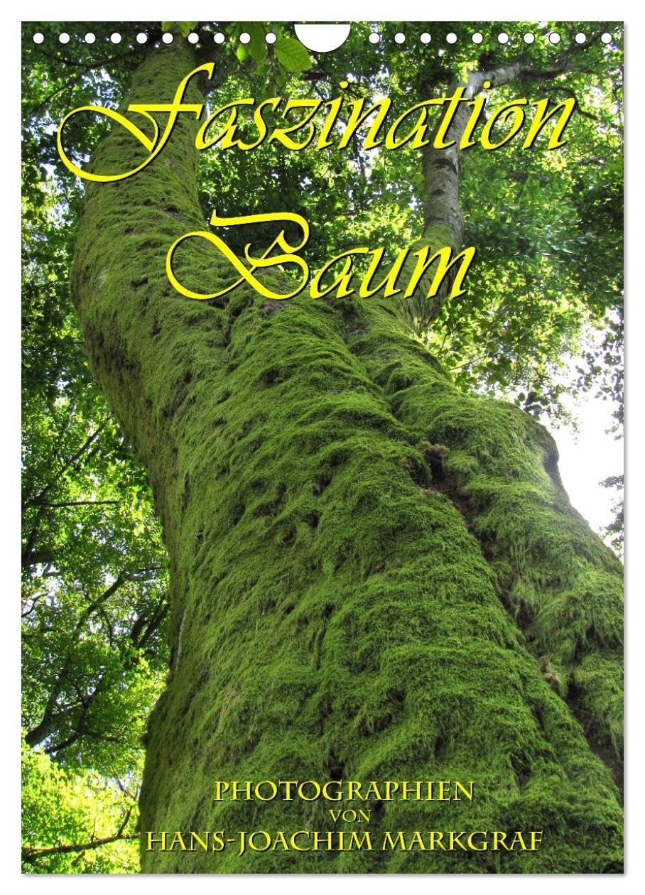Faszination Baum (Wandkalender 2026 DIN A4 hoch), CALVENDO Monatskalender: Ausducksstarke Fotos von Baumstämmen (CALVENDO Natur) Photography