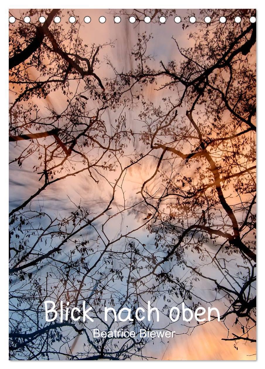 Blick nach oben (Tischkalender 2026 DIN A5 hoch), CALVENDO Monatskalender: Ein Blick nach oben in die Baumkronen (CALVENDO Natur) Leisure, Home & Garden