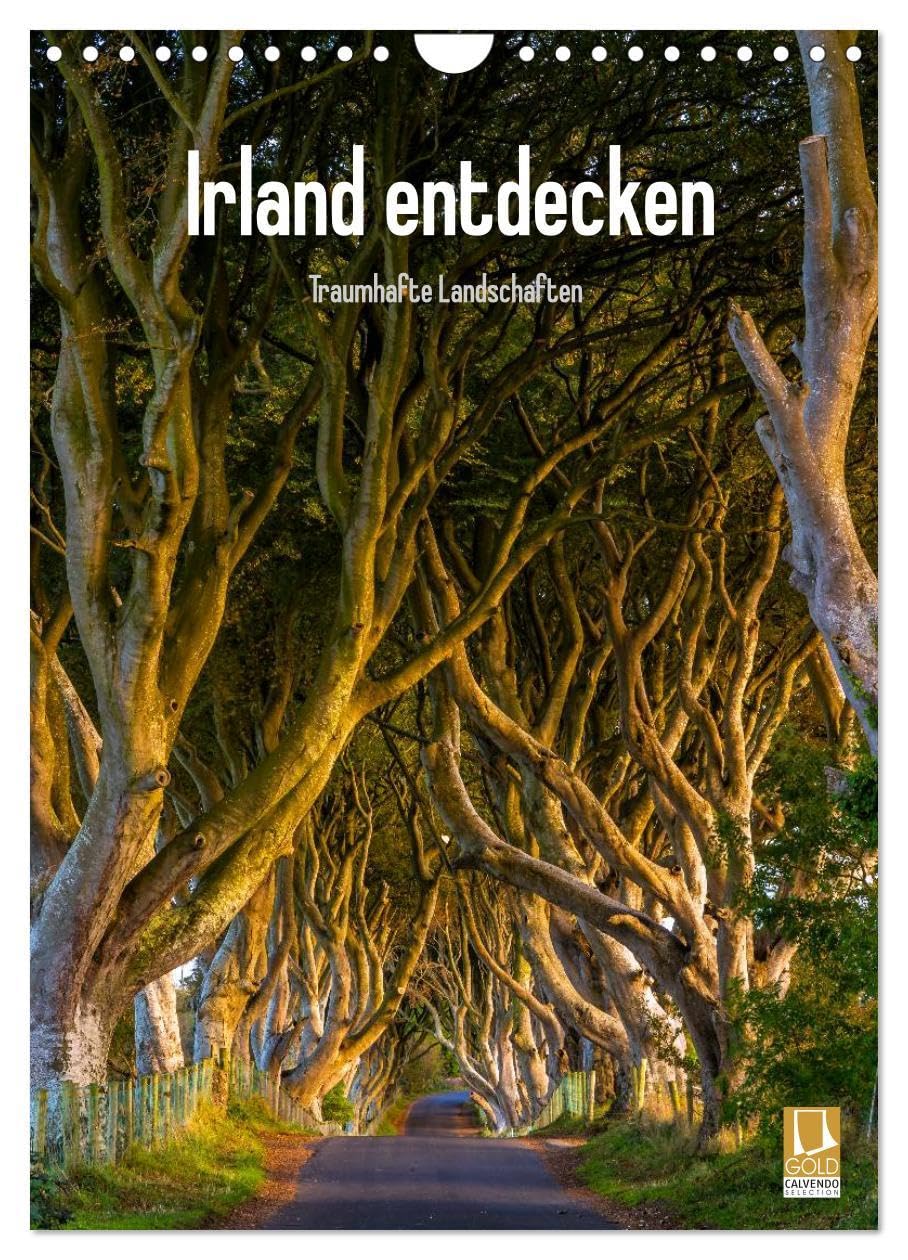Irland entdecken (Wandkalender 2026 DIN A4 hoch), CALVENDO Monatskalender: Irische Landschaften (CALVENDO Natur) Leisure, Home & Garden