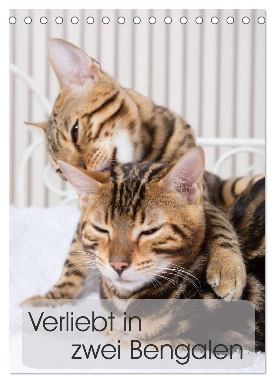 Verliebt in zwei Bengalen (Tischkalender 2026 DIN A5 hoch), CALVENDO Monatskalender: Fotografien zweier Bengalkatzenkinder (CALVENDO Tiere) Natural Sciences