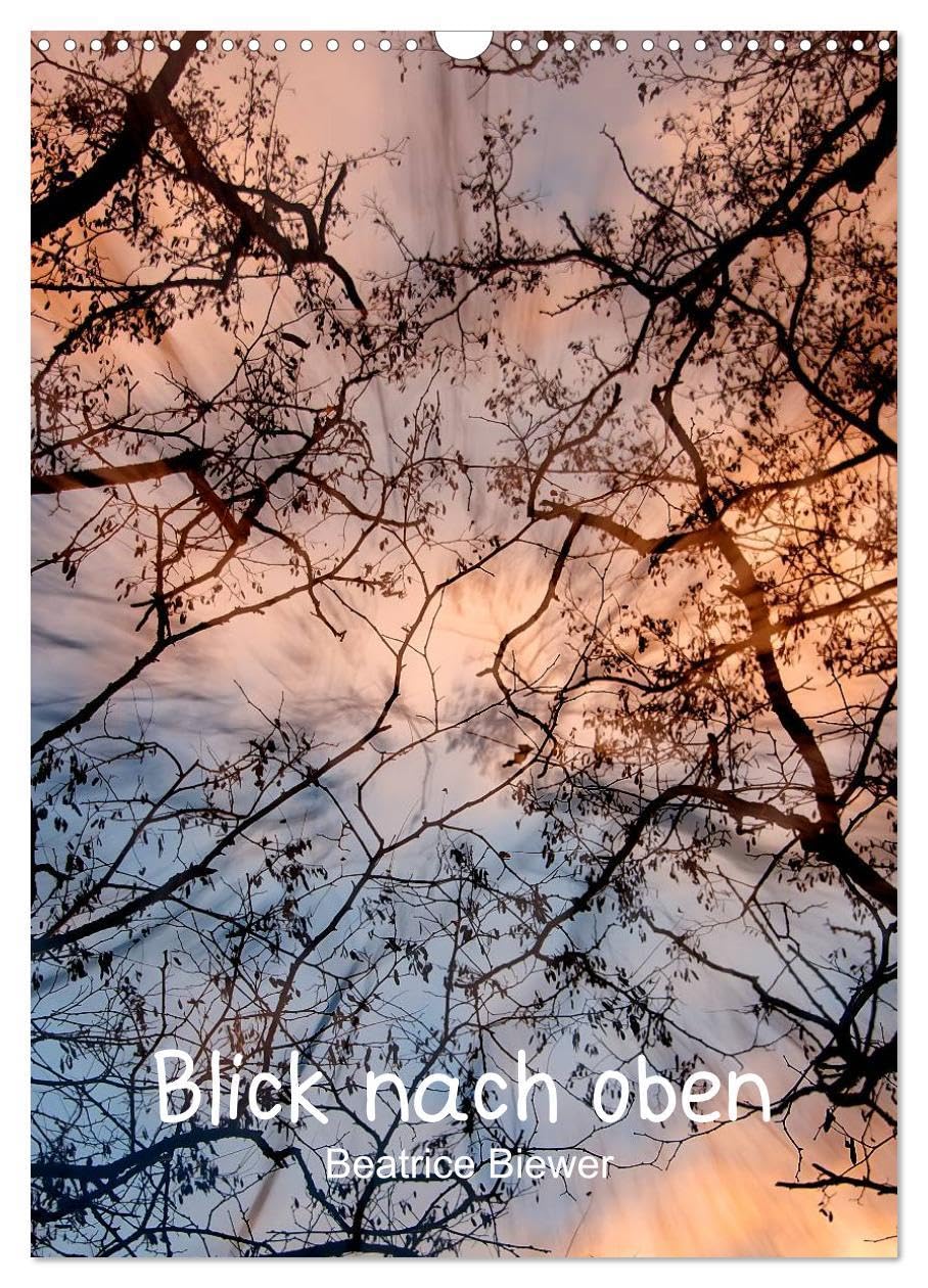 Blick nach oben (Wandkalender 2026 DIN A3 hoch), CALVENDO Monatskalender: Ein Blick nach oben in die Baumkronen (CALVENDO Natur) Leisure, Home & Garden