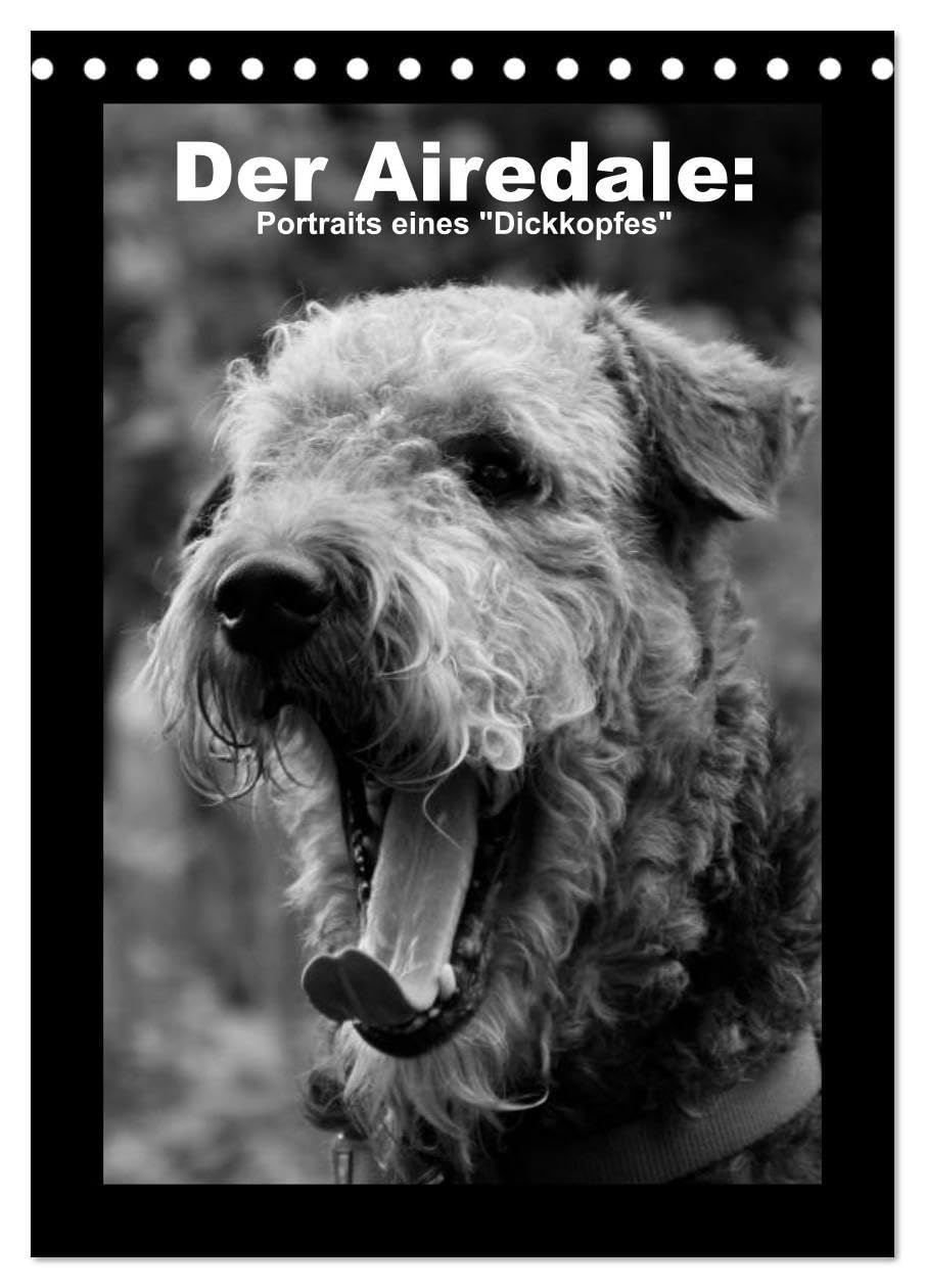 Der Airedale: Portraits eines "Dickkopfes" (Tischkalender 2026 DIN A5 hoch), CALVENDO Monatskalender: Der liebenswerte Airedale hat viele ... möchte keinen anderen mehr! (CALVENDO Tiere) Natural Sciences