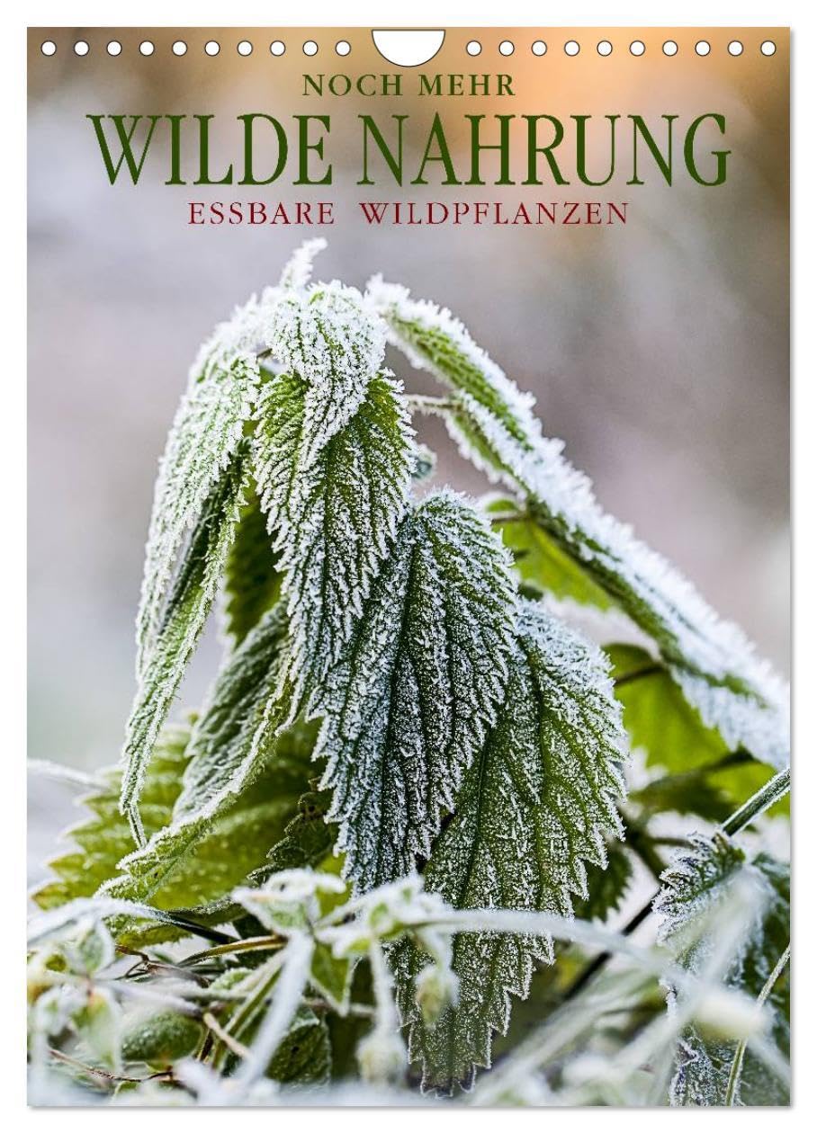NOCH MEHR WILDE NAHRUNG (Wandkalender 2026 DIN A4 hoch), CALVENDO Monatskalender: Essbare Wildpflanzen: faszinierend, gesundheitsfördernd und artenreich. (CALVENDO Lifestyle) Leisure, Home & Garden
