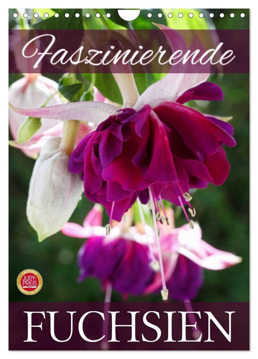 Faszinierende Fuchsien (Wandkalender 2026 DIN A4 hoch), CALVENDO Monatskalender: Faszinierende Fuchsien im Portrait (CALVENDO Natur) Social Sciences