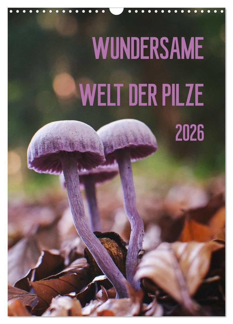 Wundersame Welt der Pilze (Wandkalender 2026 DIN A3 hoch), CALVENDO Monatskalender: Ein Kalender für Pilzfreunde (CALVENDO Orte) Leisure, Home & Garden