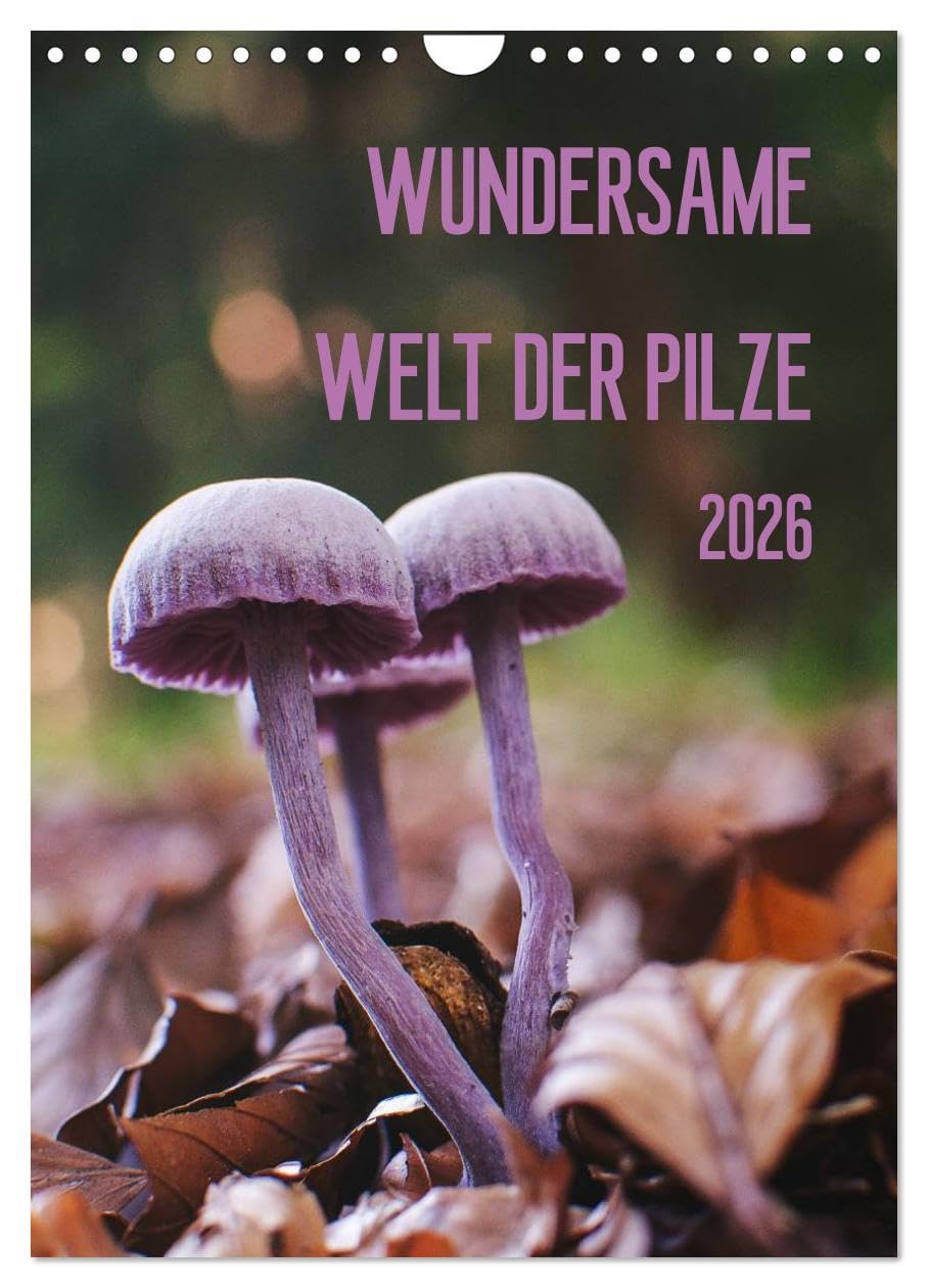 Wundersame Welt der Pilze (Wandkalender 2026 DIN A4 hoch), CALVENDO Monatskalender: Ein Kalender für Pilzfreunde (CALVENDO Orte) Leisure, Home & Garden