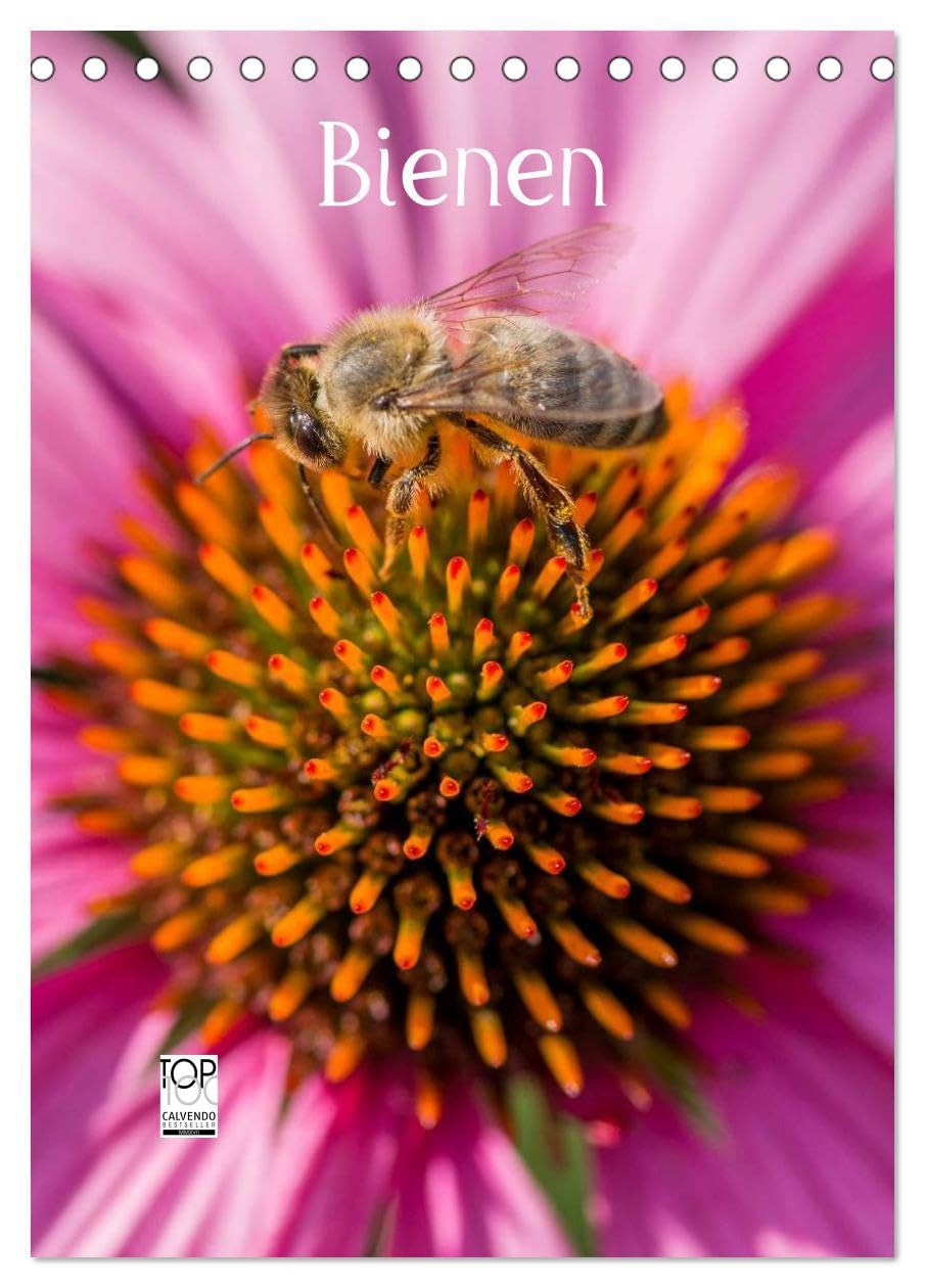 Bienenkalender (Tischkalender 2026 DIN A5 hoch), CALVENDO Monatskalender: Bienen für das ganze Jahr (CALVENDO Tiere) Leisure, Home & Garden