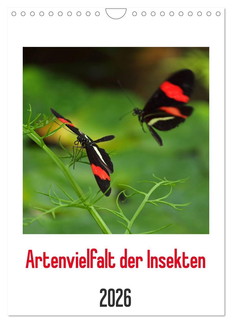 Artenvielfalt der Insekten (Wandkalender 2026 DIN A4 hoch), CALVENDO Monatskalender: Farbenfrohe und formenreiche Artenvielfalt der Insekten in eindrucksvollen Makroaufnahmen gezeigt. (CALVENDO Tiere) Natural Sciences