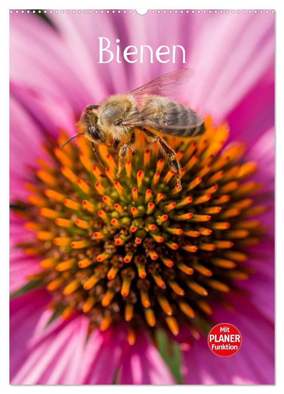 Bienenplaner (Wandkalender 2026 DIN A2 hoch), CALVENDO Monatskalender: Bienen für das ganze Jahr (CALVENDO Tiere) Leisure, Home & Garden